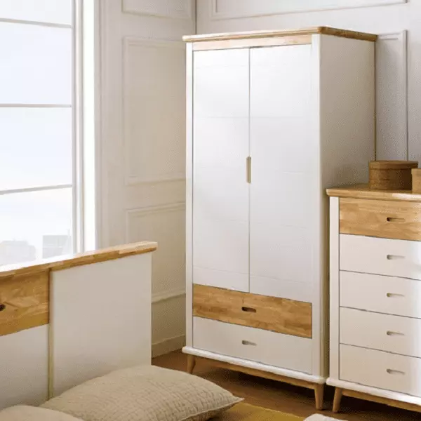 tủ quần áo 2 cánh: giải pháp mới cho không gian nhỏ